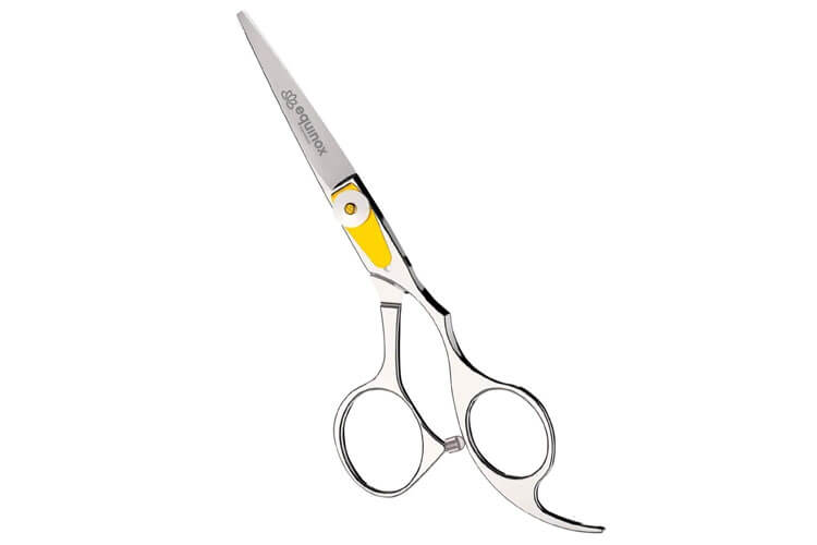 Best Hair Cutting Shears