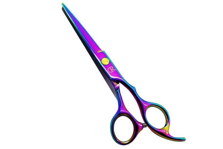 Professional Hair Cutting Shears